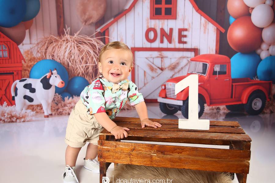 Estúdio Bebê de Gael - Smash the Cake