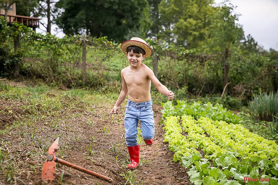Ensaio Externo de Ensaio 5 Anos Pedro