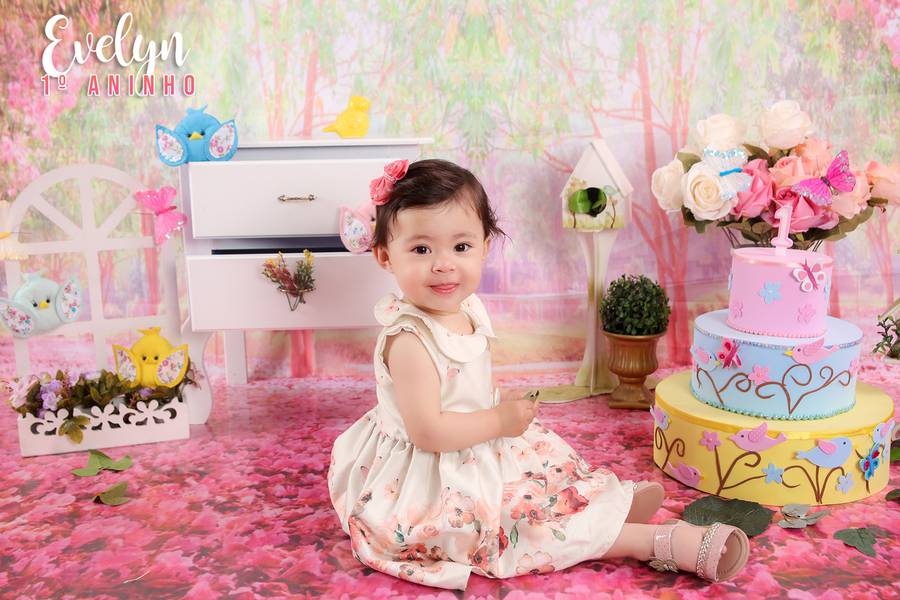 Estúdio Bebê de Evelyn 1º aninho