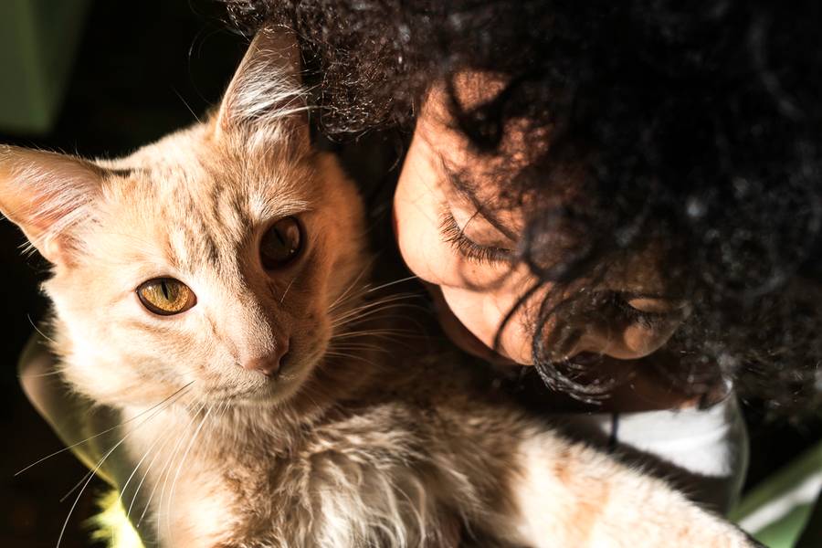 Projeto Um Dia de Um Dia Só Dela: Marina Fez 6