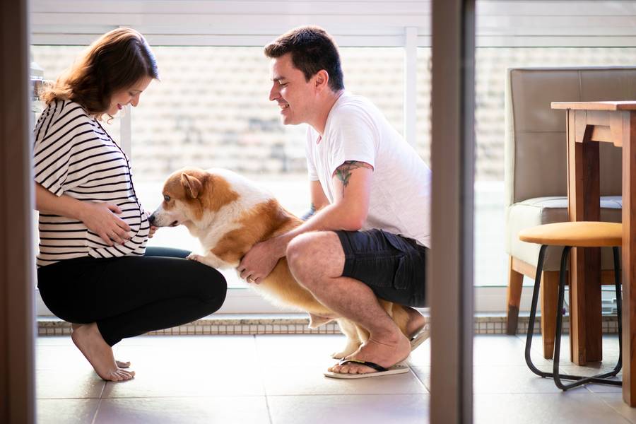 Ensaio de Gestante de Esperando Olívia