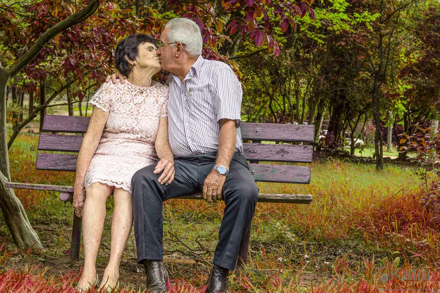 Ensaios diversos de Ensaio de Bodas de Ouro