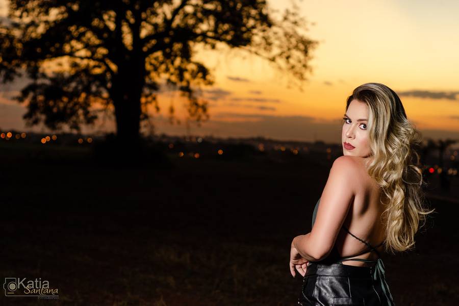 Ensaios diversos de Book Helena Júlia