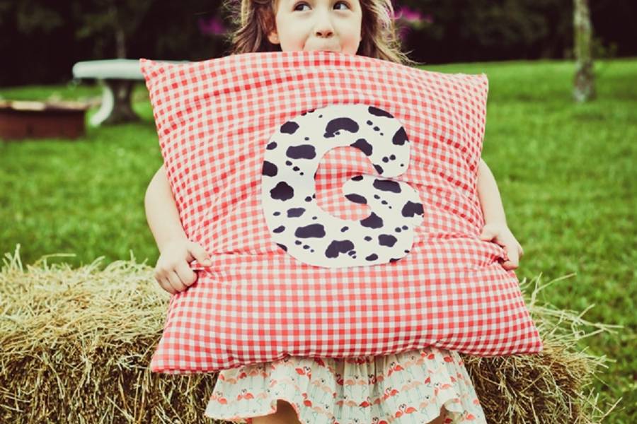 Infantil de Crescendo com Gabriela na fazenda | festa infantil