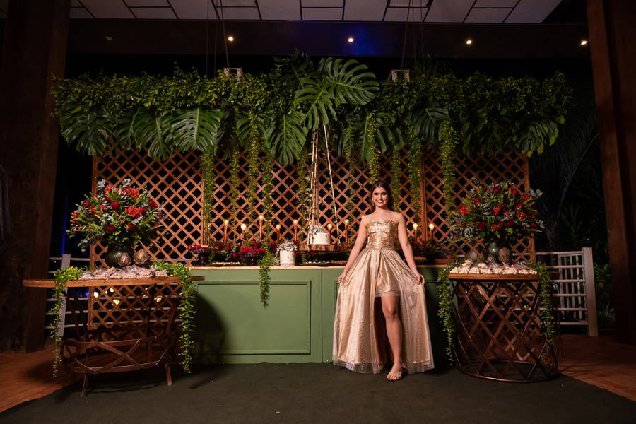 15 Anos de 15 anos Ana Luiza