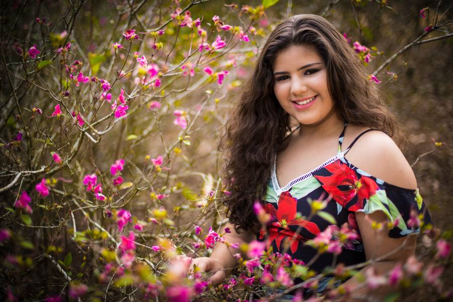 Book dos 15 de Marcella