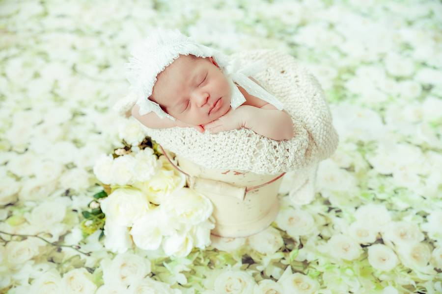 Newborn de Ensaio Newborn