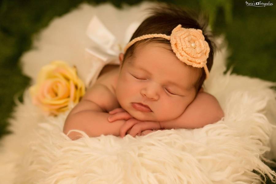 Newborn de Ensaio Newborn