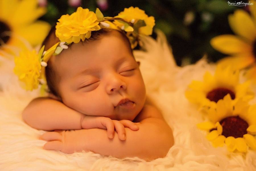 Newborn de Ensaio Newborn