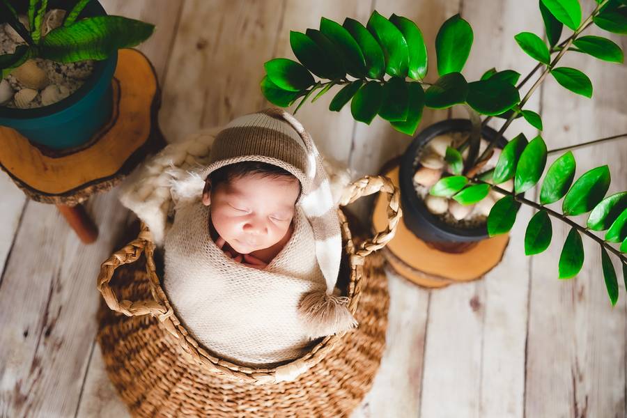 Newborn de Ensaio Newborn