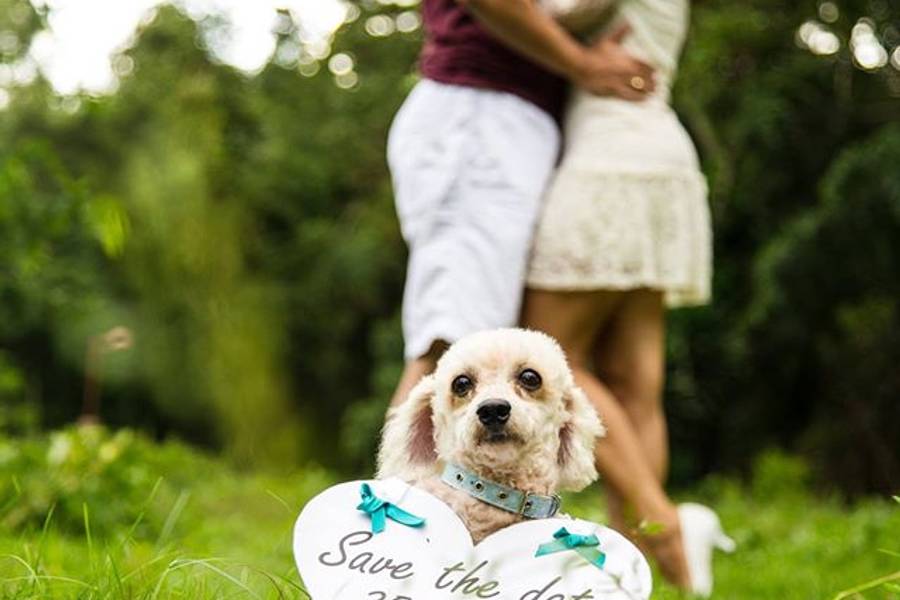 Casal de ENSAIO CASAL