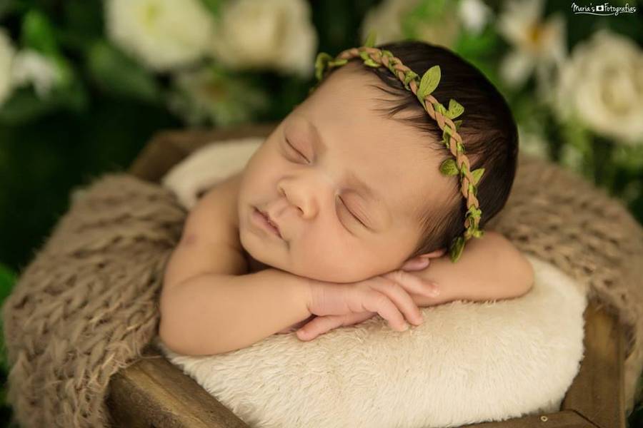 Newborn de Ensaio Newborn