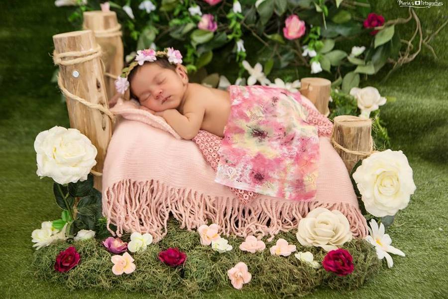 Newborn de Ensaio Newborn