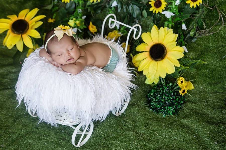 Newborn de Ensaio Newborn