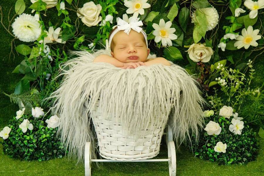 Newborn de Ensaio Newborn