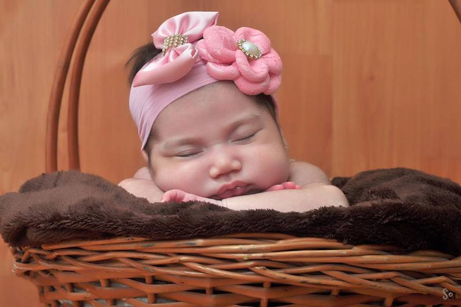 Newborn de Ensaio Newborn