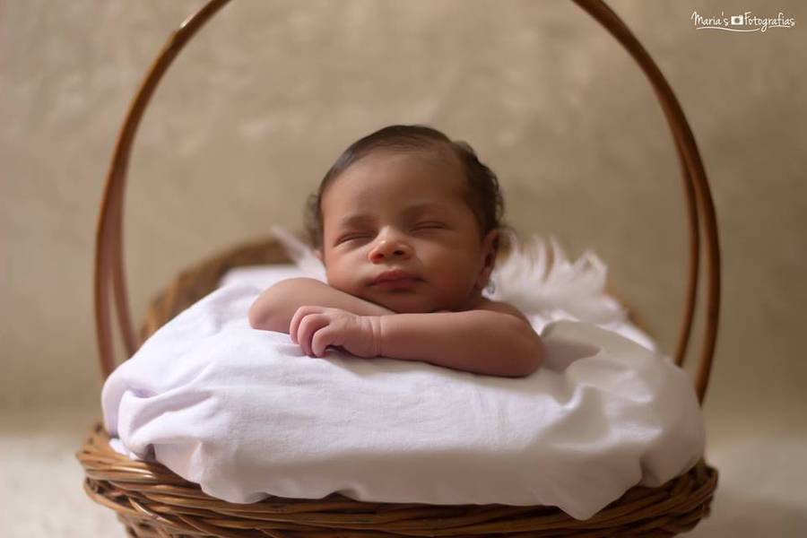 Newborn de Ensaio Newborn