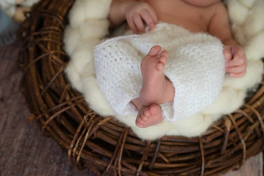 Newborn de Ensaio Newborn