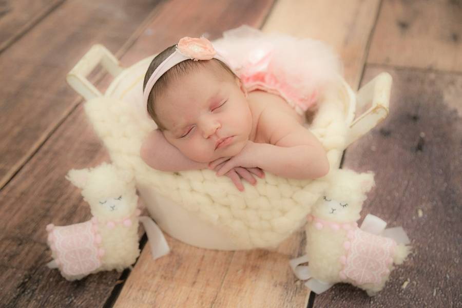 Newborn de Ensaio Newborn