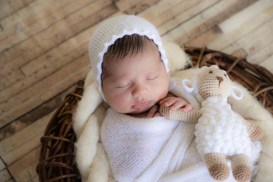 Newborn de Ensaio Newborn