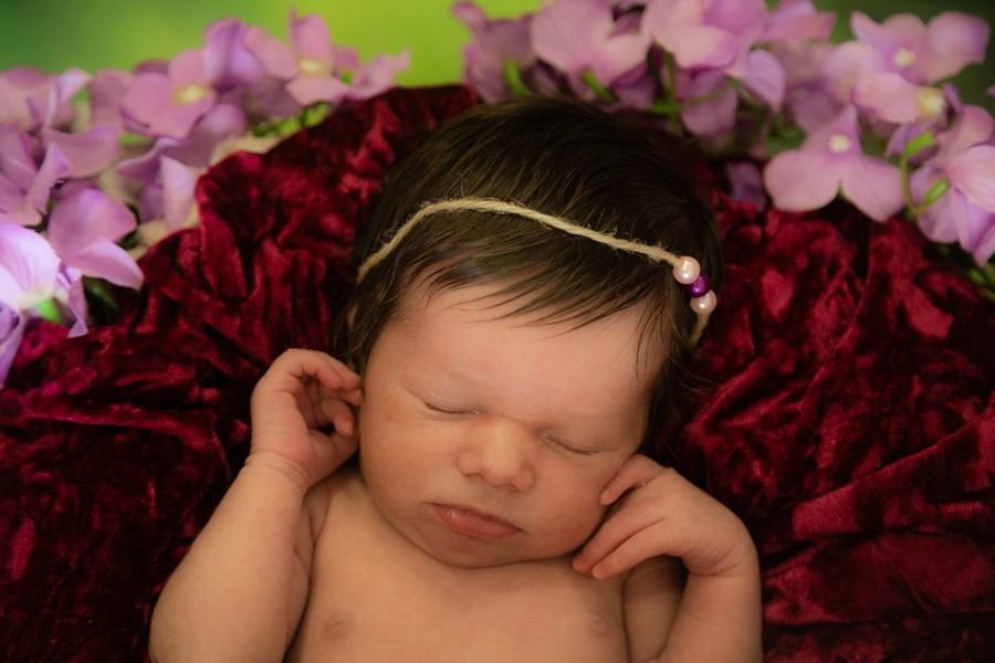 Newborn de Ensaio Newborn