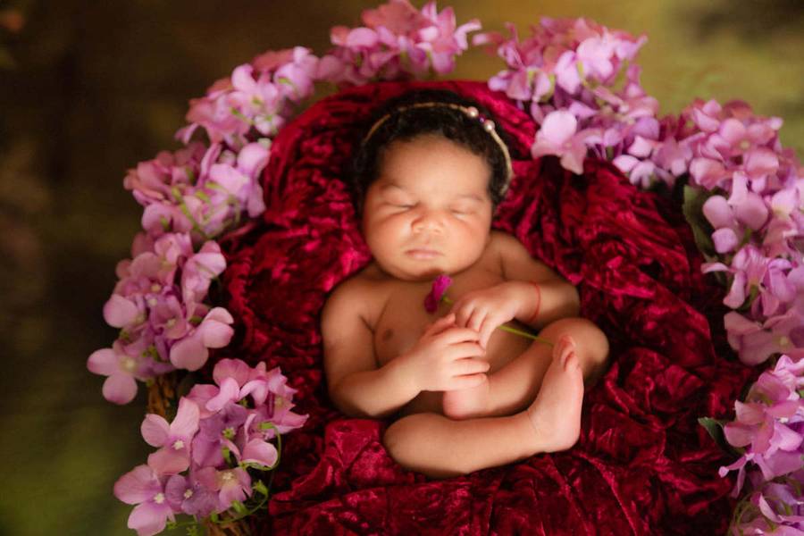 Newborn de Ensaio Newborn