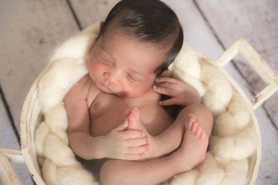 Newborn de Ensaio Newborn