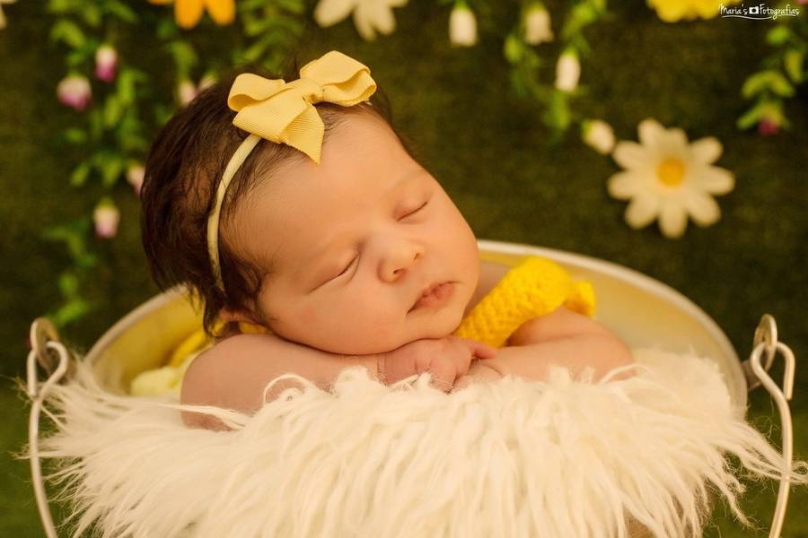 Newborn de Ensaio Newborn