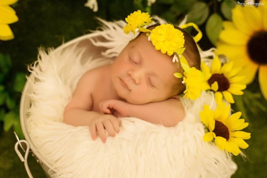 Newborn de Ensaio Newborn