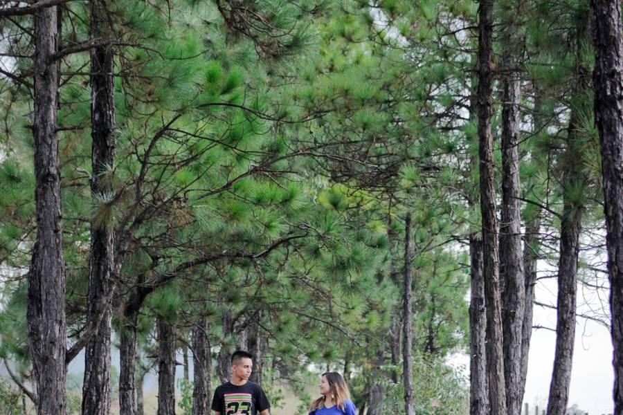 Familias de Dayane & Wallison 