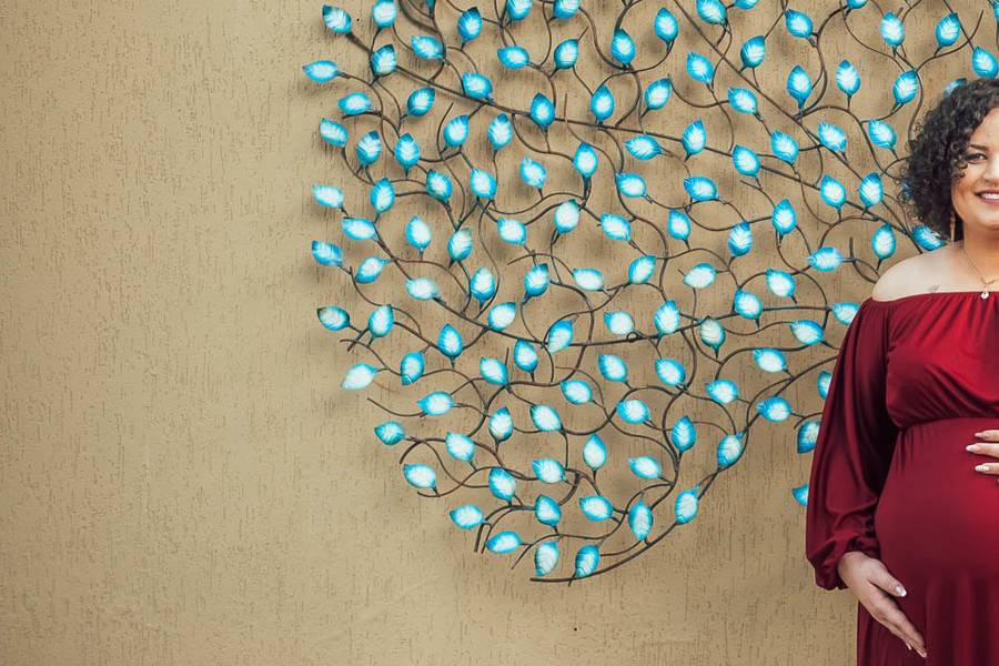 Gestante de Gabriela Lara