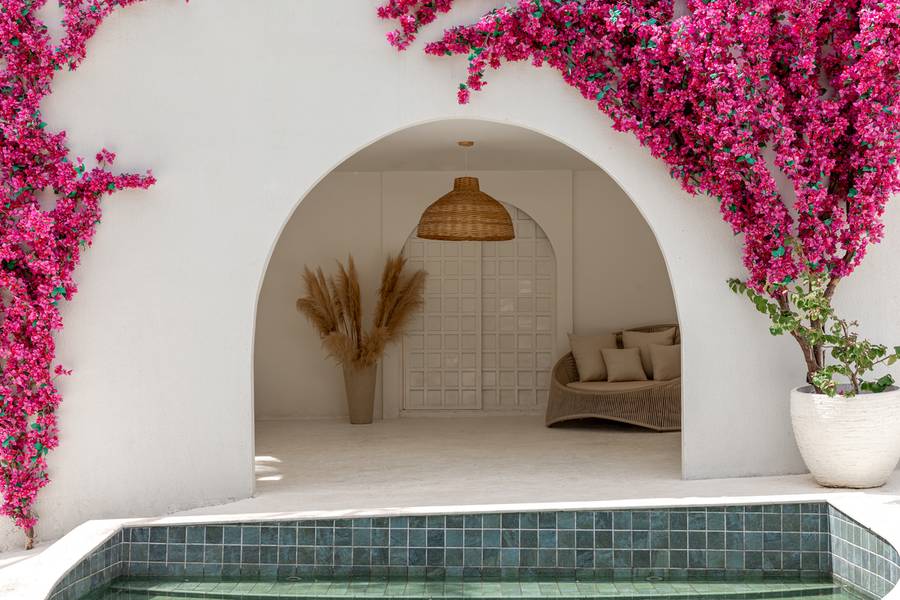 Arquitetura Comercial de Paola Noel \\ Estúdio Fotográfico