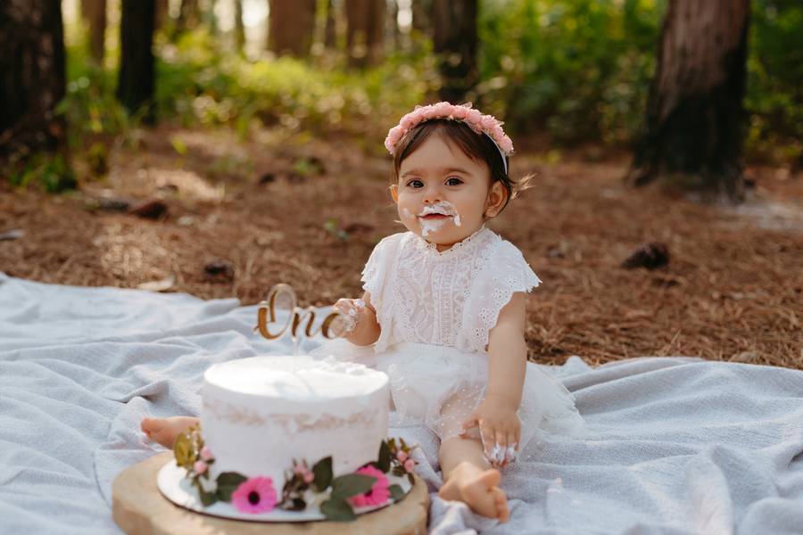 Ensaio Infantil de Smash the Cake Elisa 
