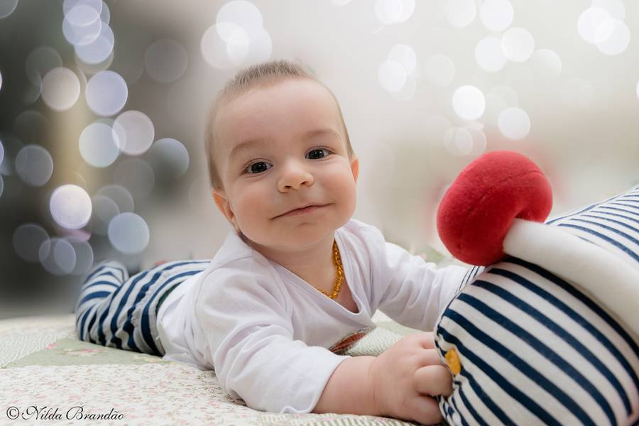 Bebês de Henrique 8 meses