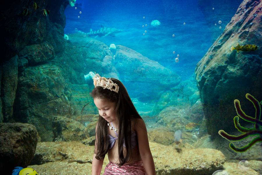 Fotografia Lúdica de Sereia Mariana