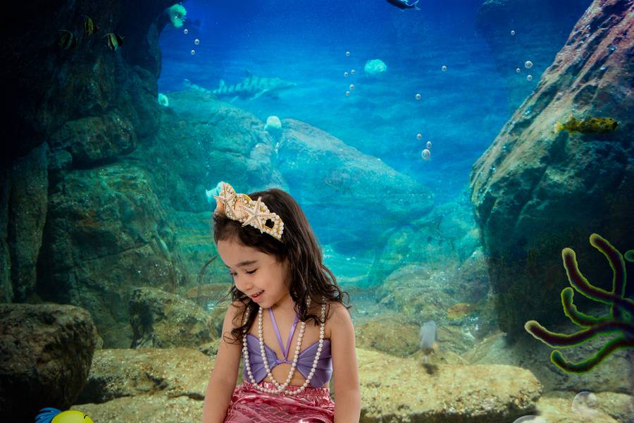 Fotografia Lúdica de Ensaio fotográfico sereia