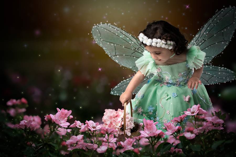 Fotografia Lúdica de Jardim das fadas 