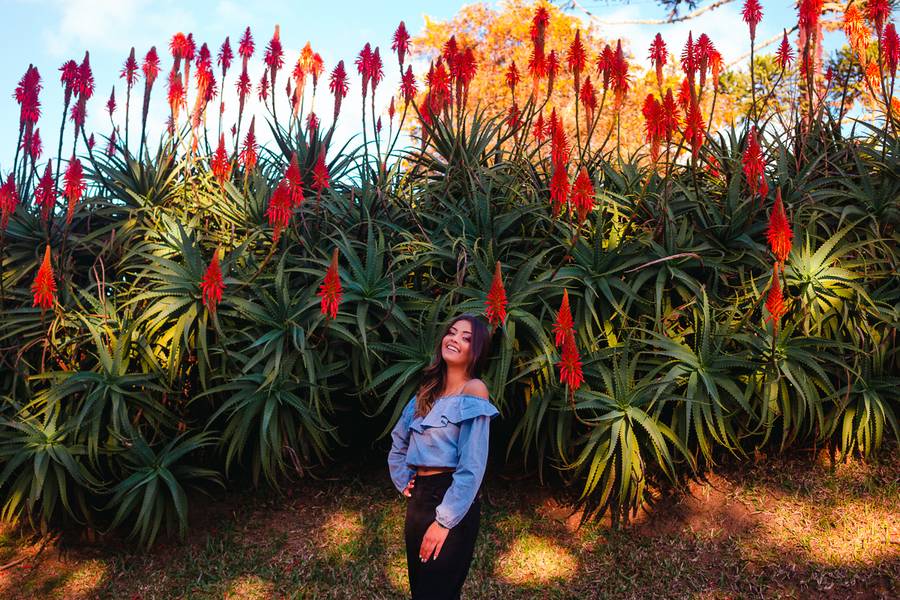 Ensaio 15 Anos de Miriã Mesquita