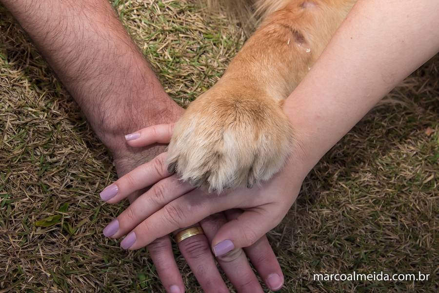 ENSAIO CASAL de Lívia e Leon - Pré Wedding