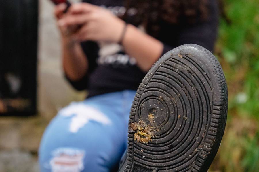 Projeto Solas de Projeto Solas: Vitória Ribeiro