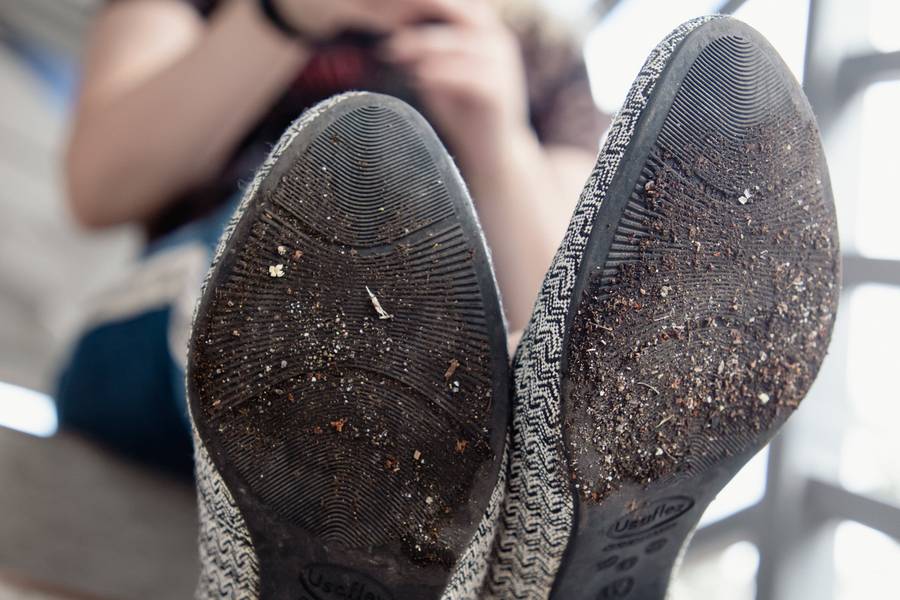 Projeto Solas de Projeto Solas: Schayane Johann