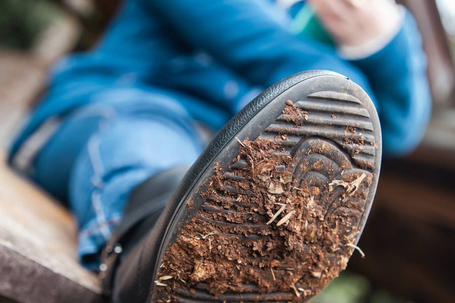 Projeto Solas de Projeto Solas: Cris Mapelli e Graciela Deon