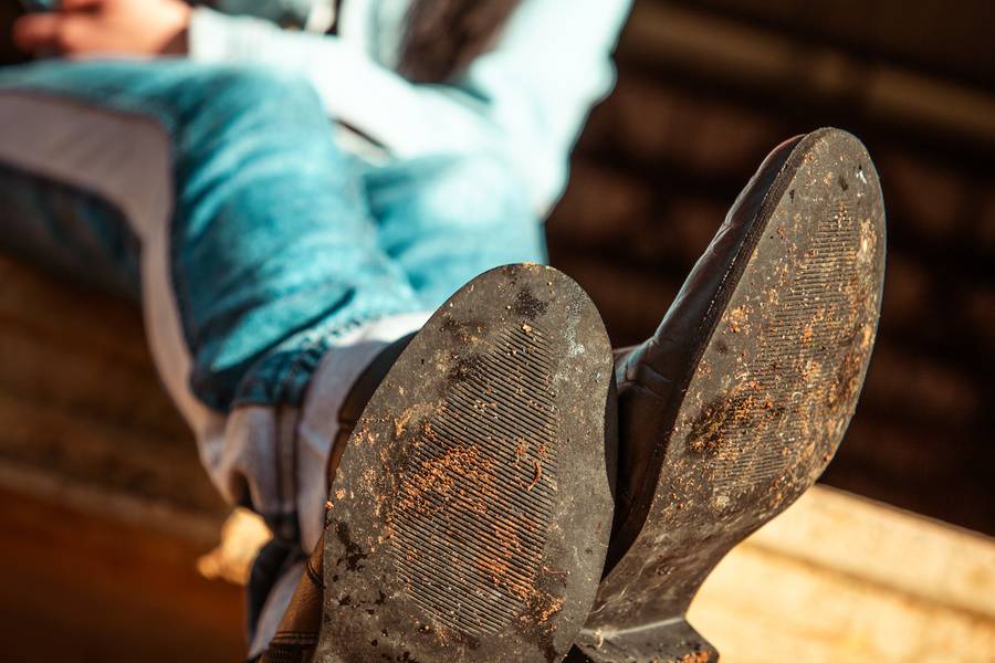 Projeto Solas de Projeto Solas: Brunna Maria