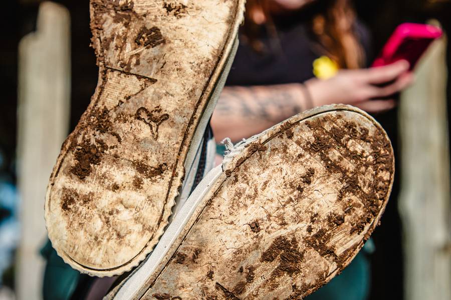 Projeto Solas de Projeto Solas: Caroline da Silva