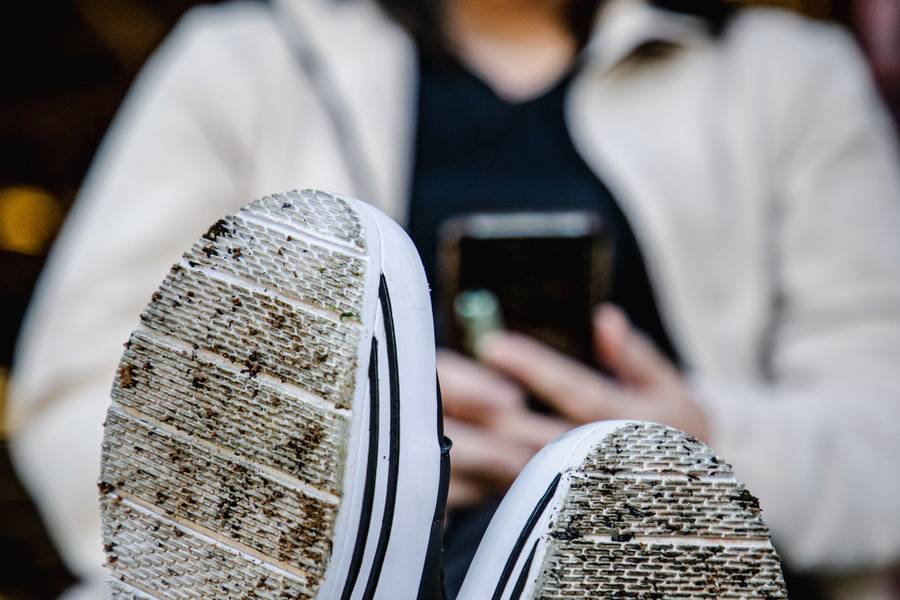 Projeto Solas de Projeto Solas: Roselaine dos Santos