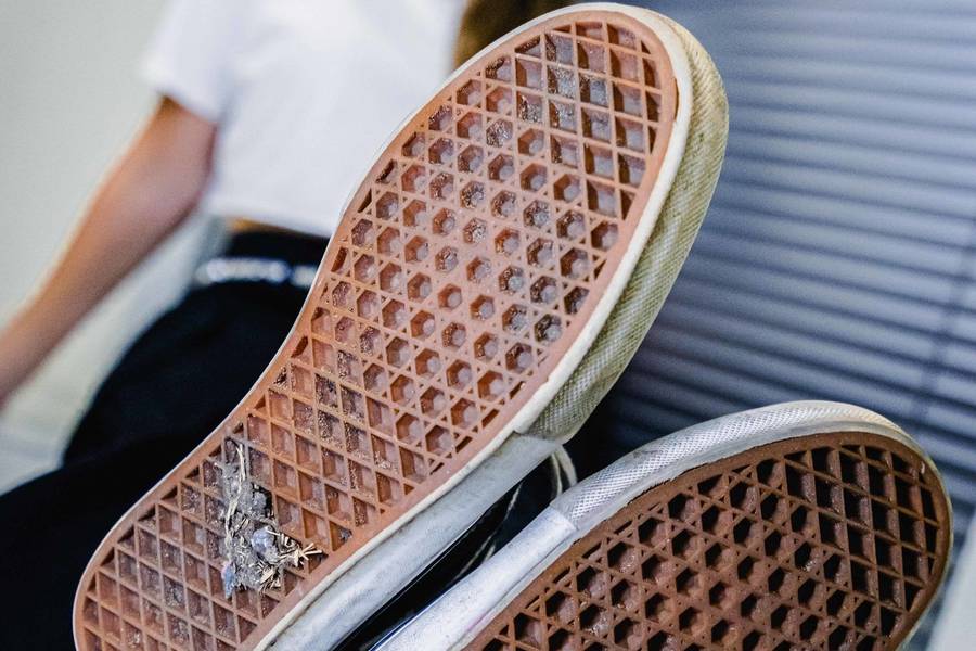 Projeto Solas de Projeto Solas: Paula Palaoro