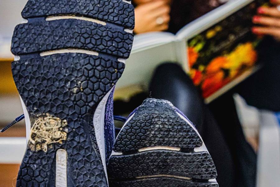 Projeto Solas de Projeto Solas: Danielle Santos