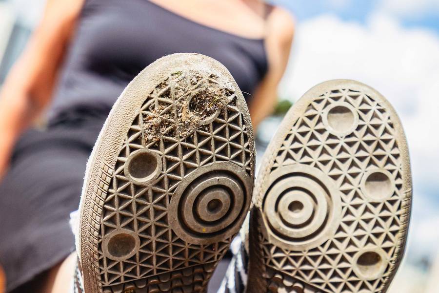 Projeto Solas de Projeto Solas: Adriana Negri