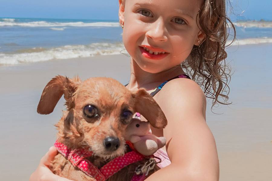 Infantil de O Crescer da doce Lara