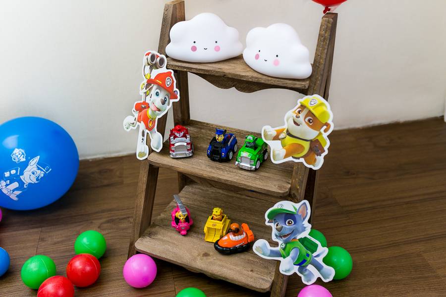 Ensaio Infantil de Invasão da Patrulha Canina - Caio 2 anos